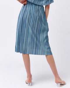 FIBI Two-Way Pleated Skirt Dress